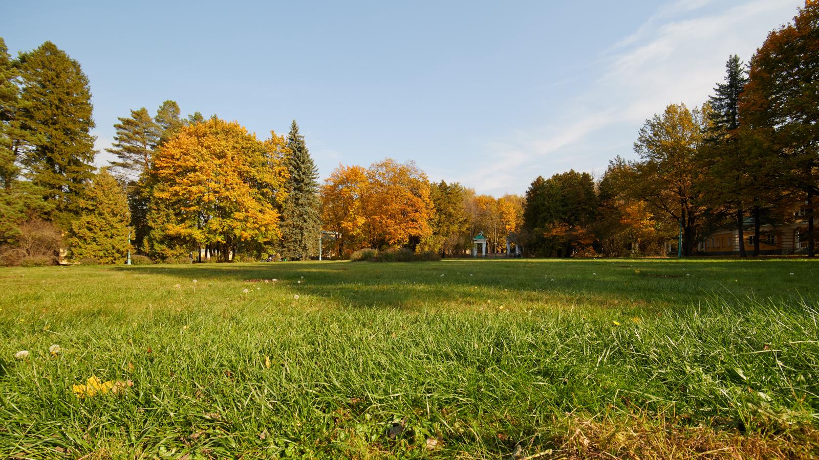 Осенняя арена