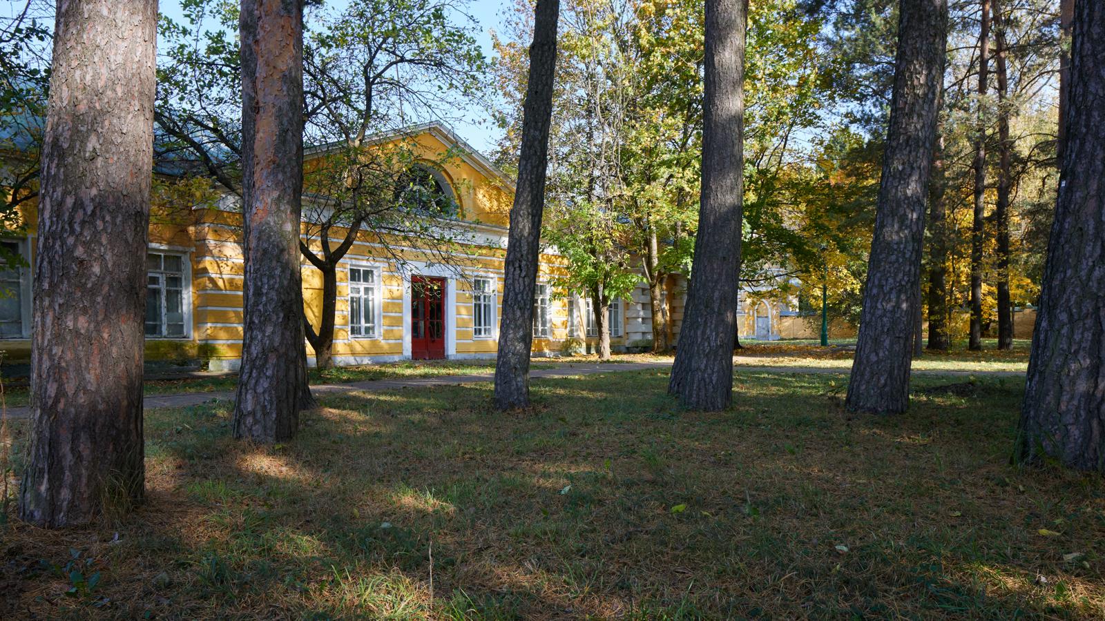 Диалог стволов и стен