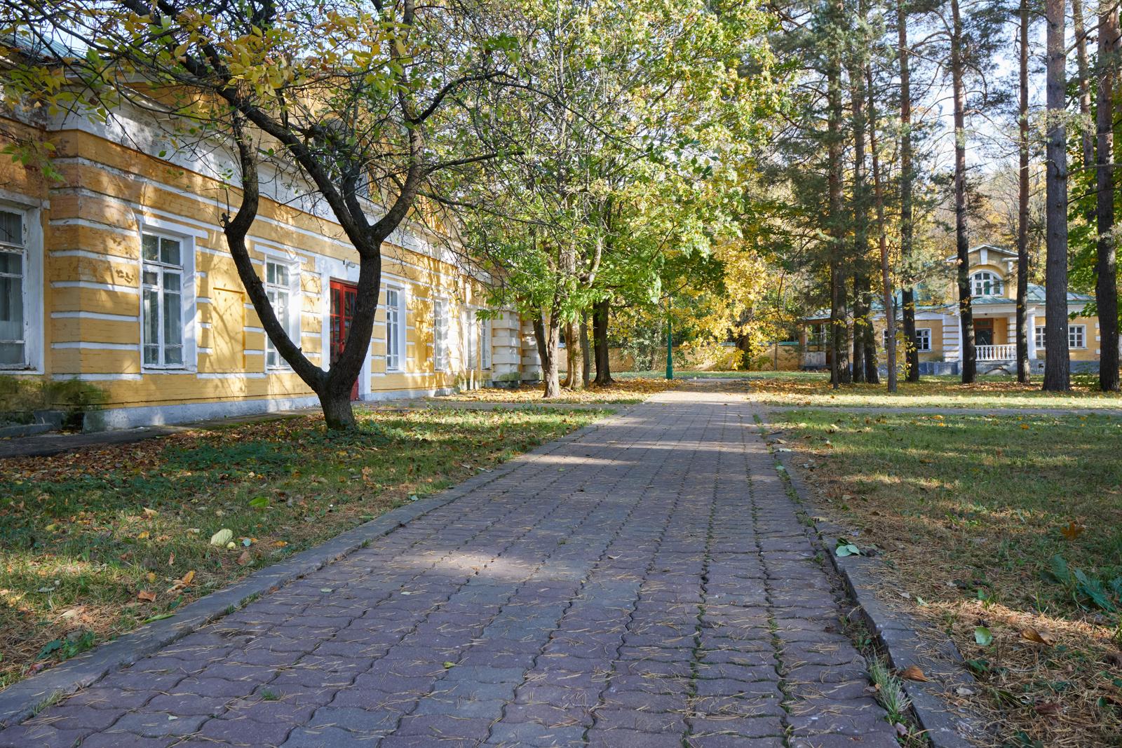 Палимпсест шагов