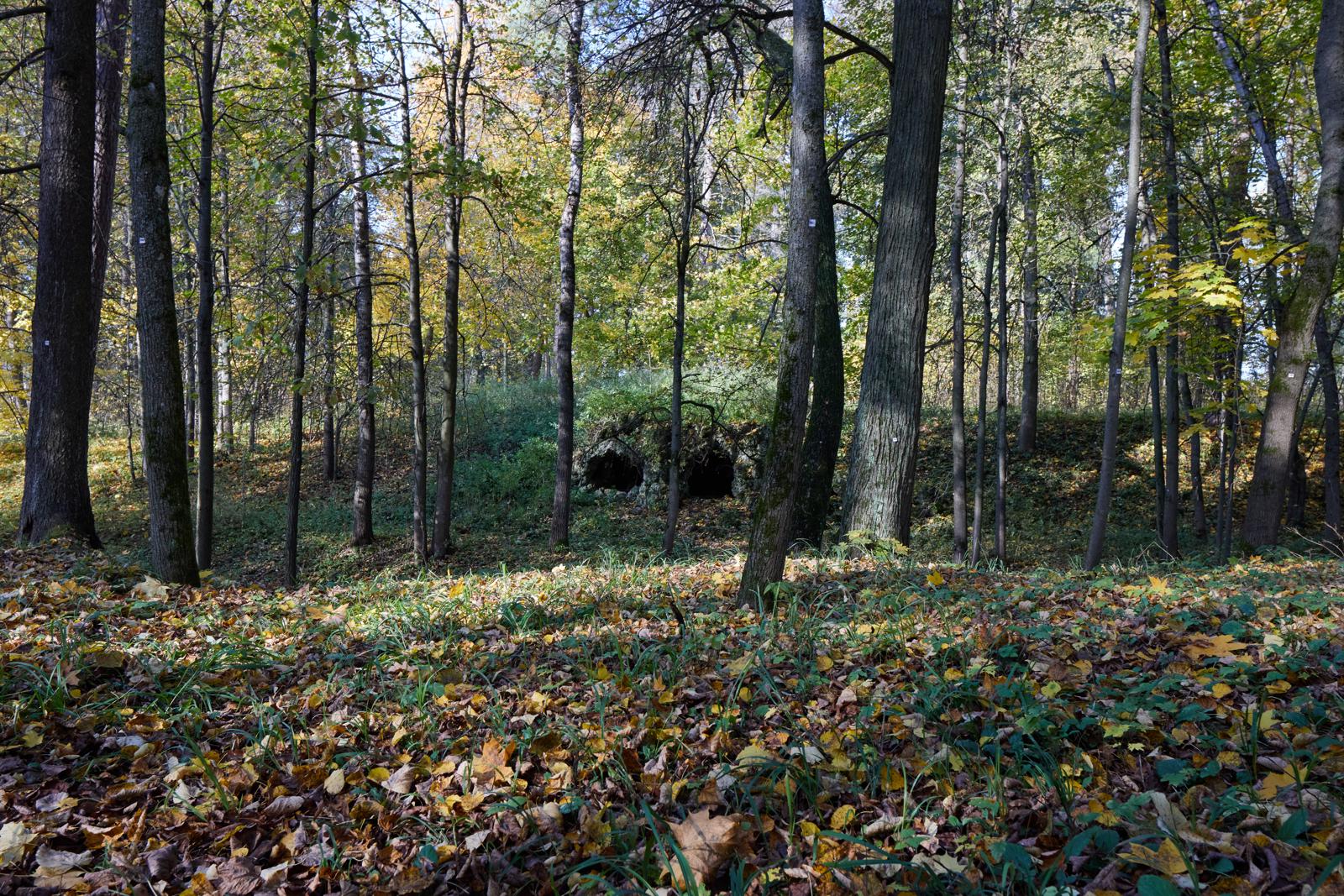 Пороги видимого