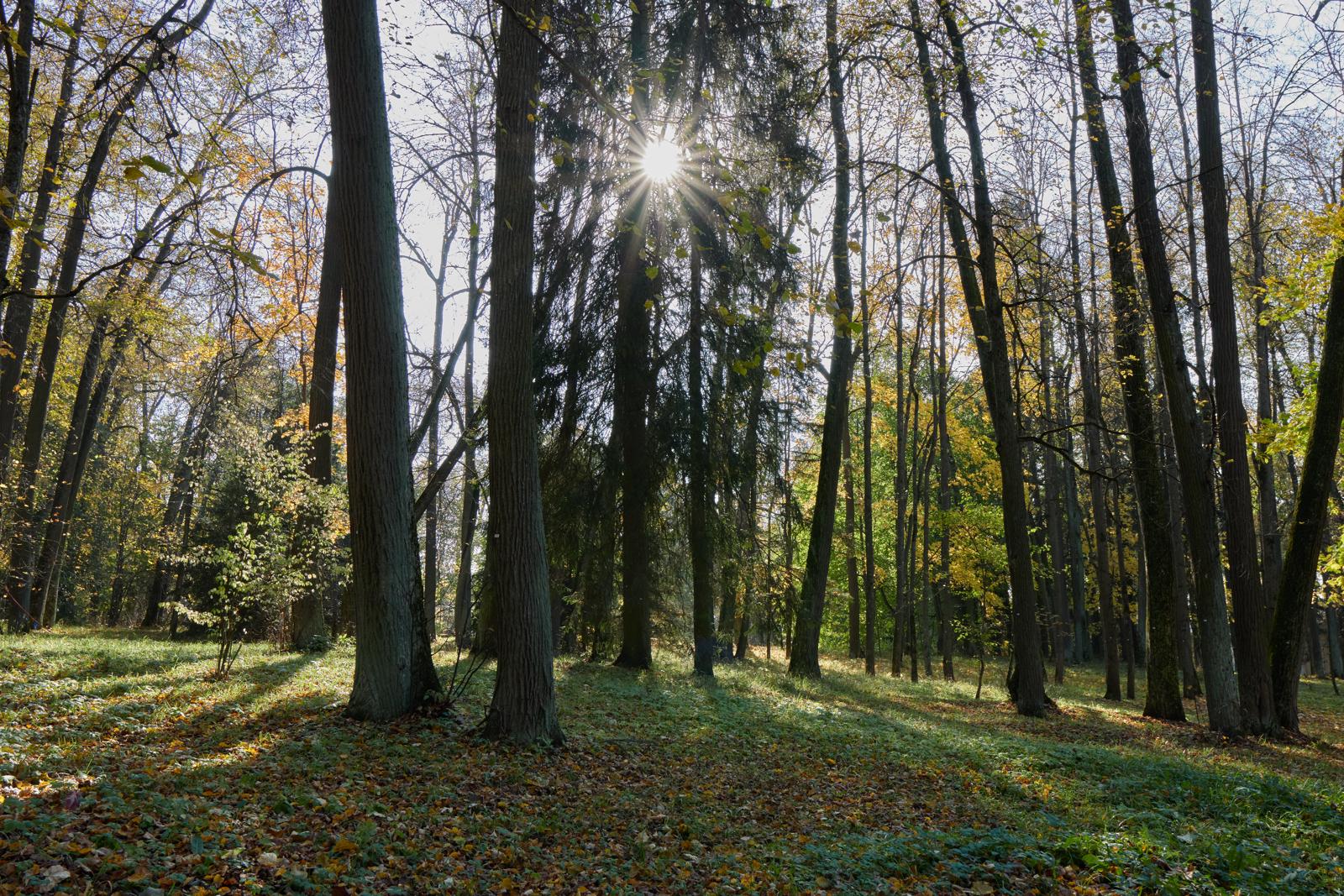 Люминесценция бытия