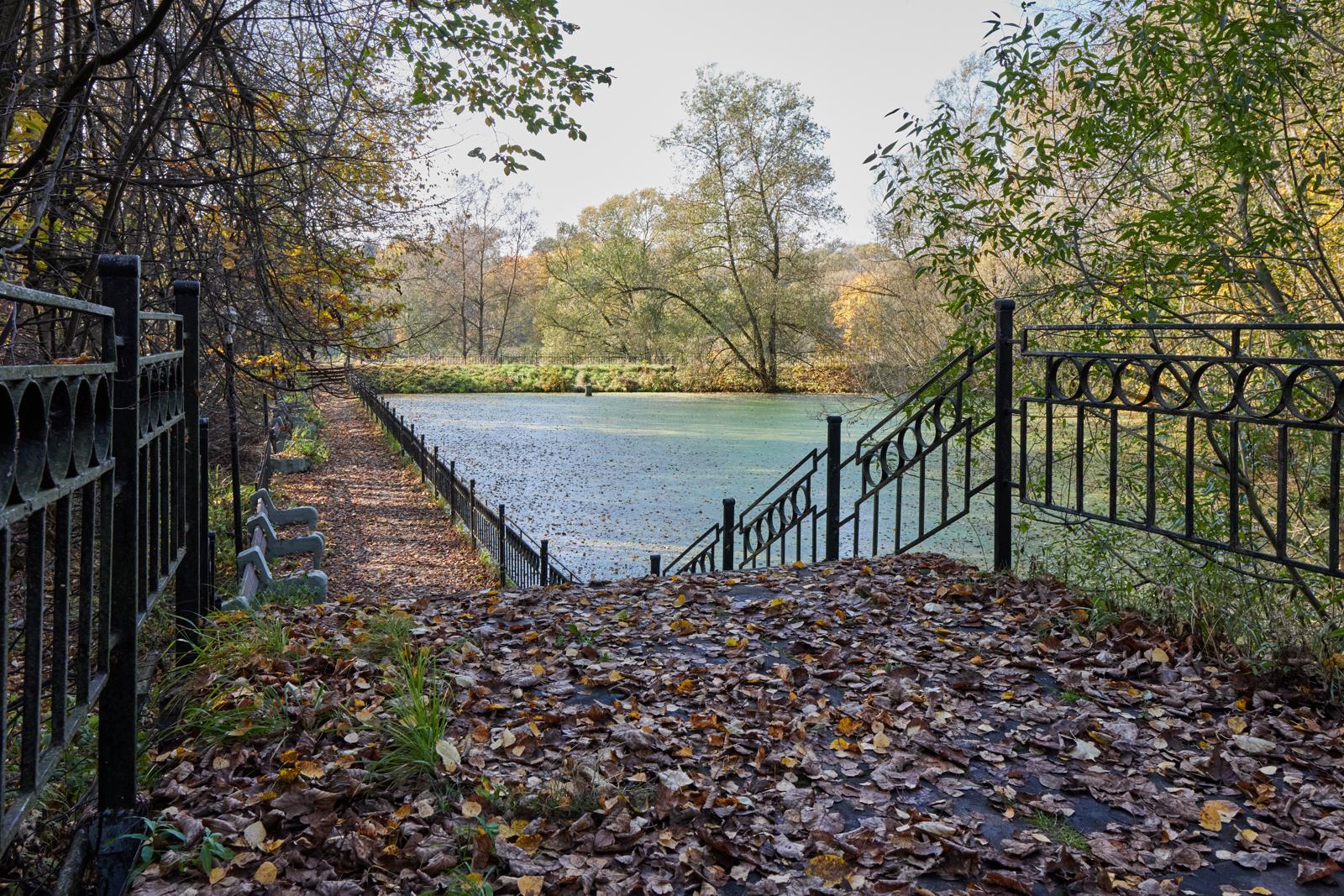 Пауза у воды