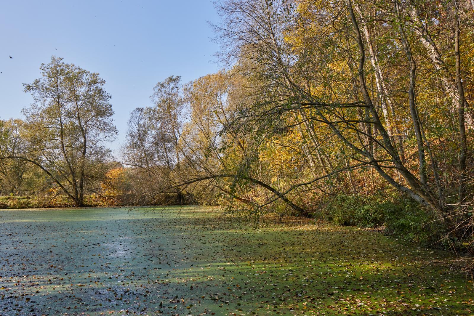 Акватория безвременья