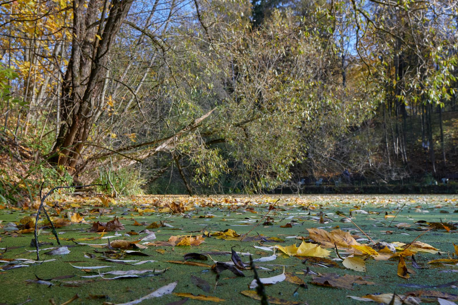 Партитура прощания