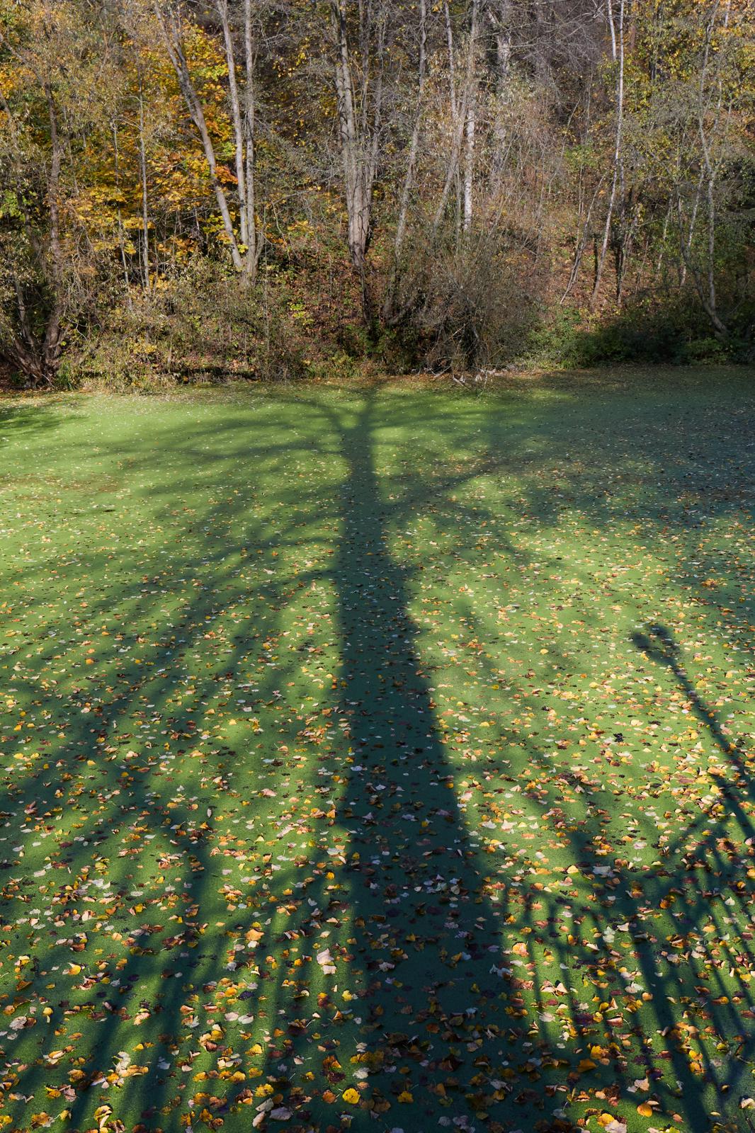 Проекции бытия