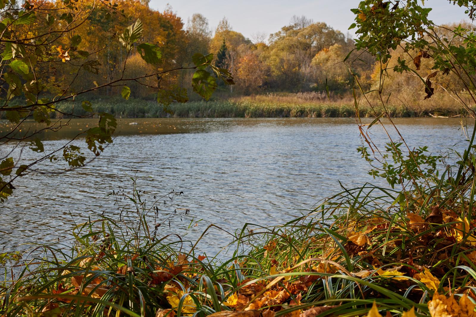 Хронотоп берега