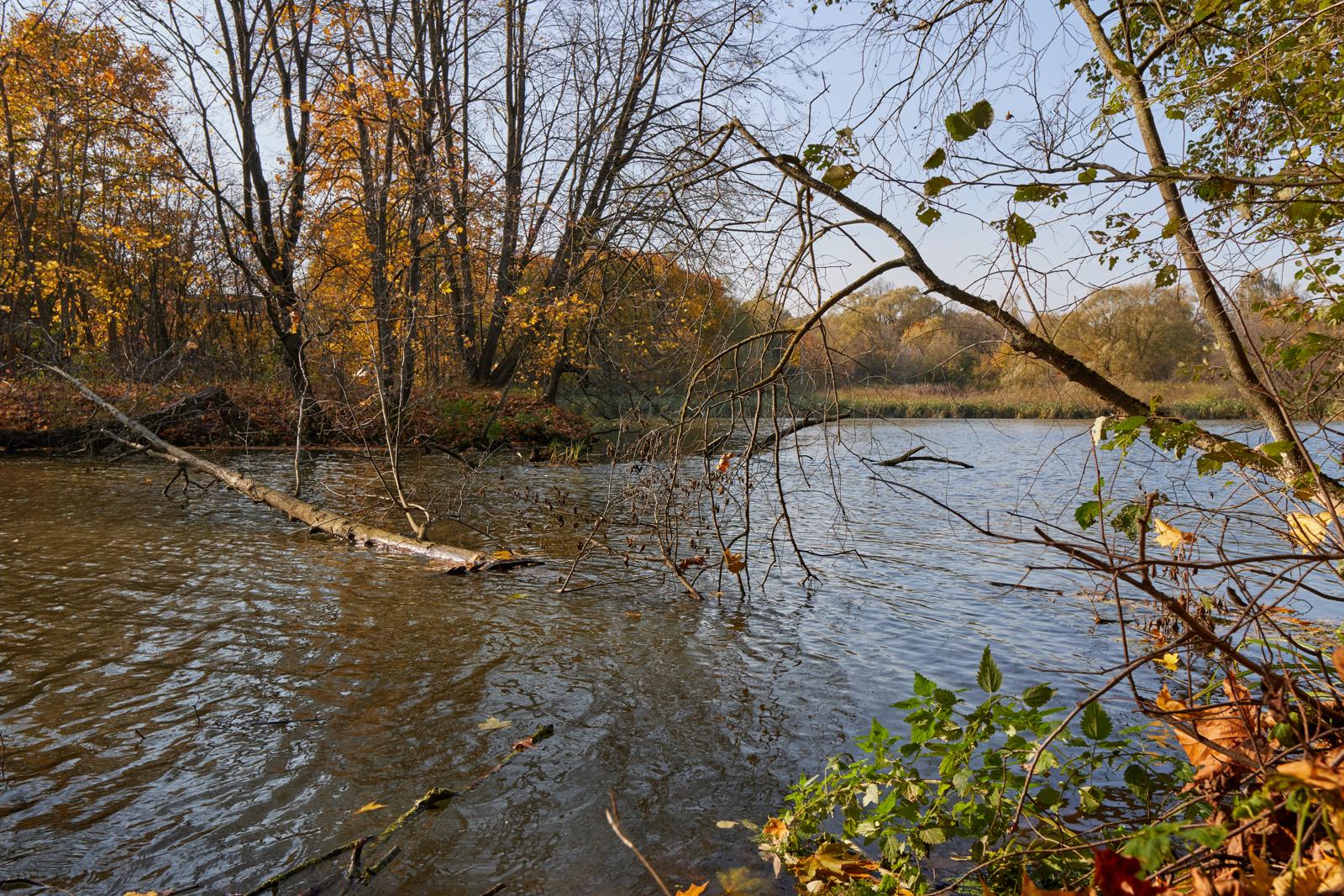 Диагональ хроноса