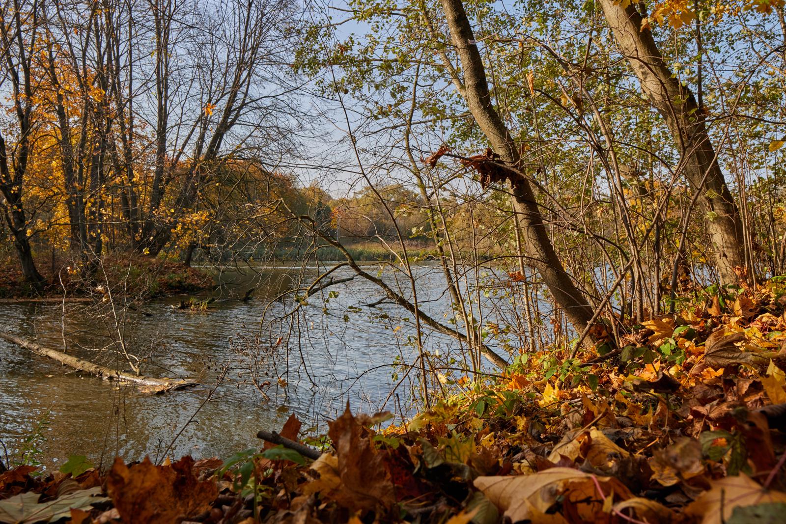 Хроники потока
