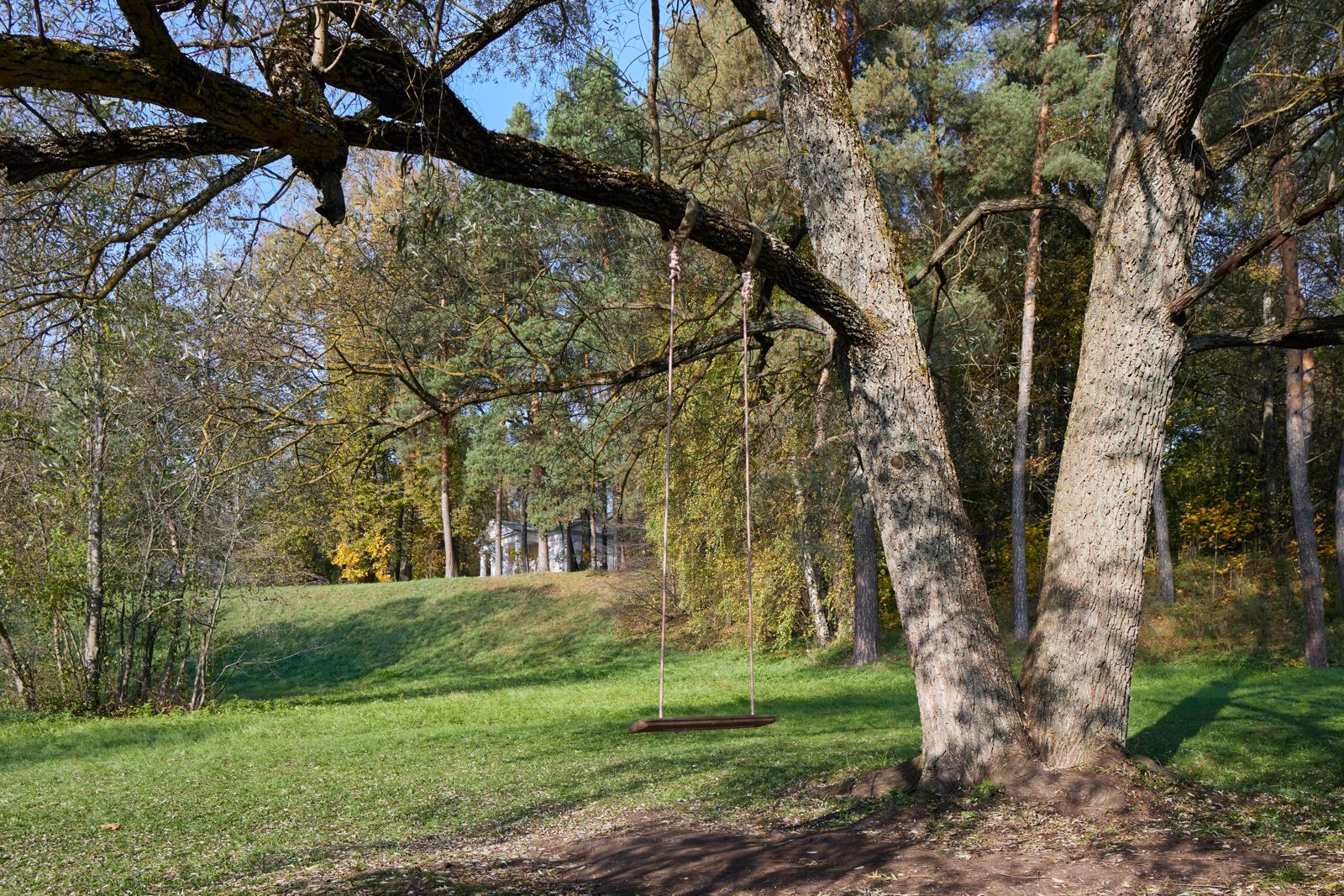 Амплитуда времени