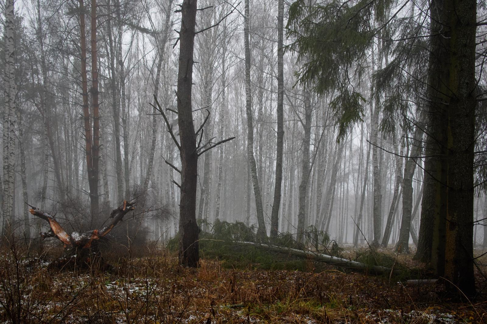 Созерцания конечности существования