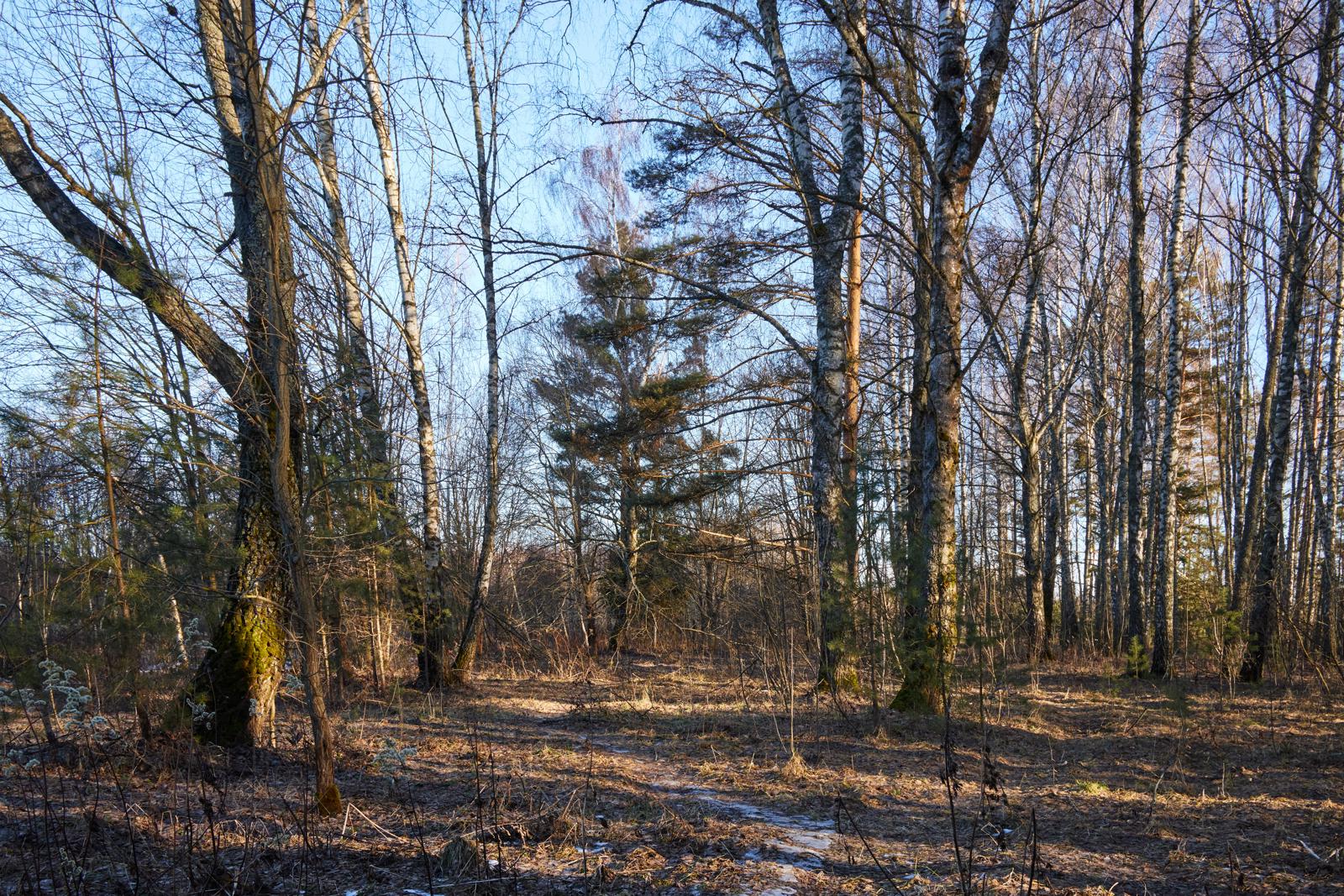 Исповедь зимнего света