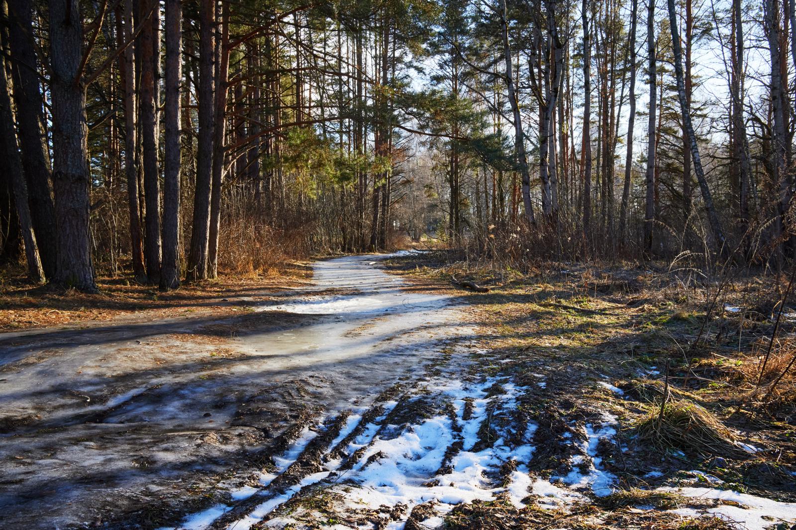 Мнимое пробуждение