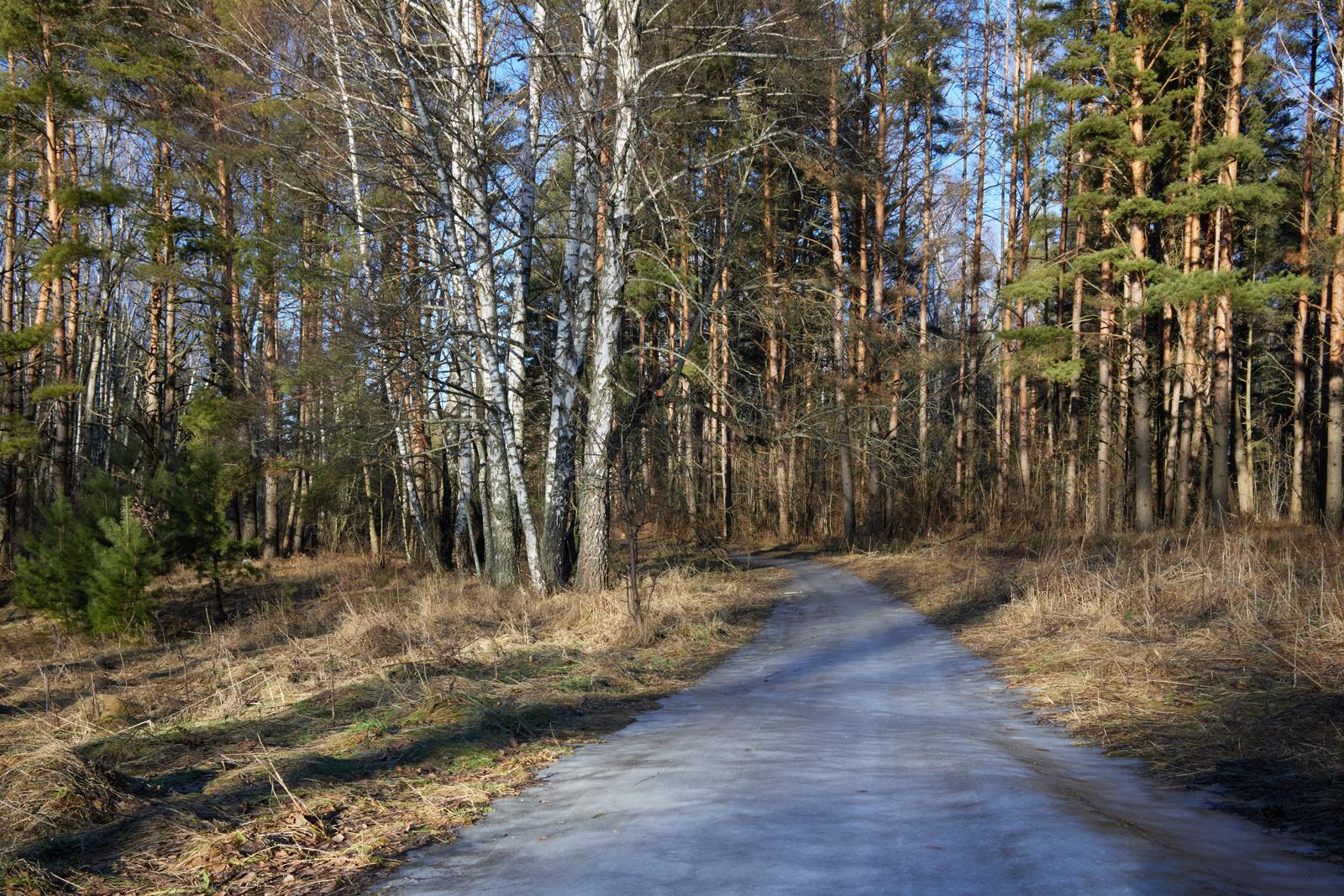 Солнечное либретто