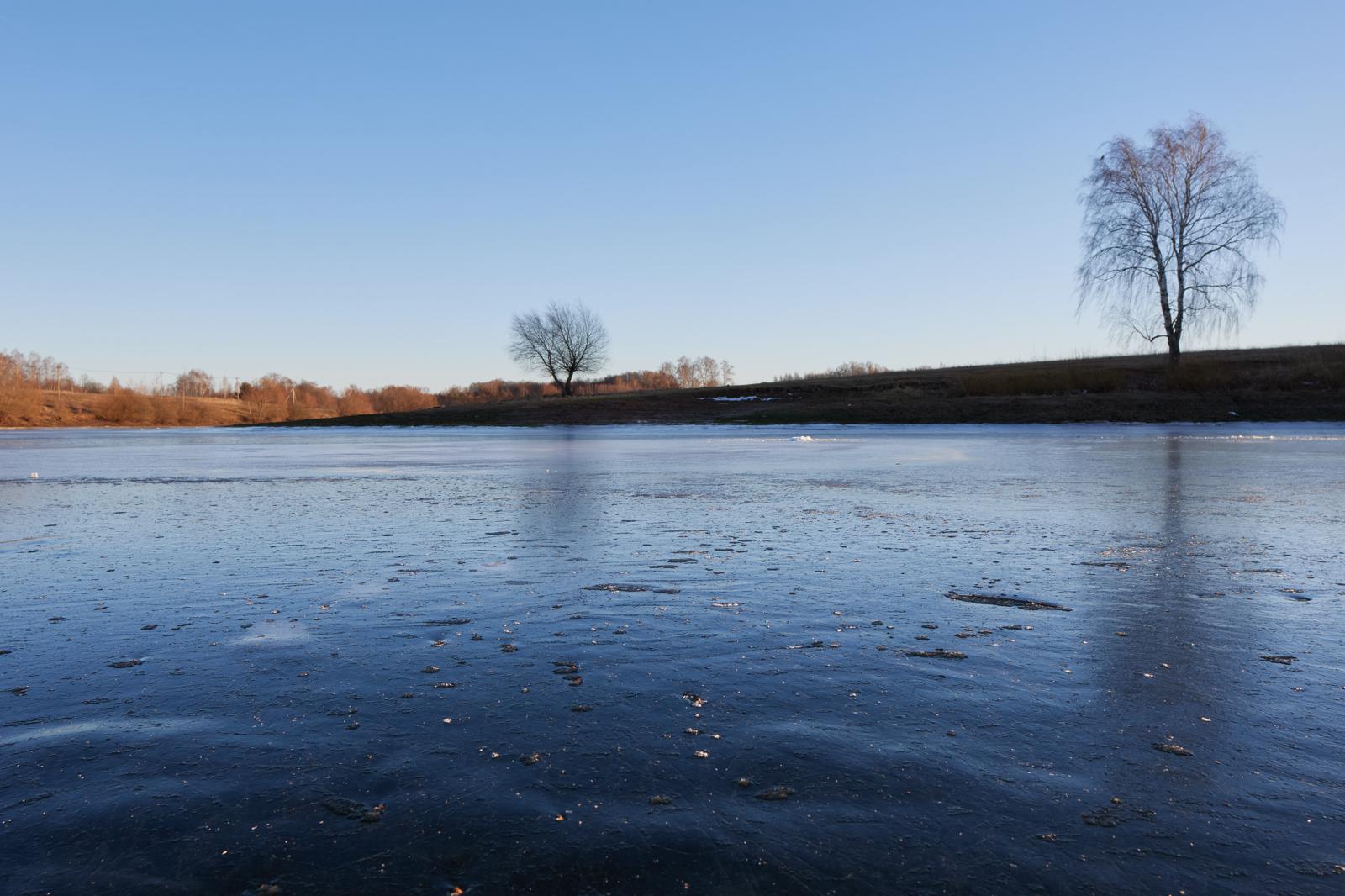 Тихий разговор