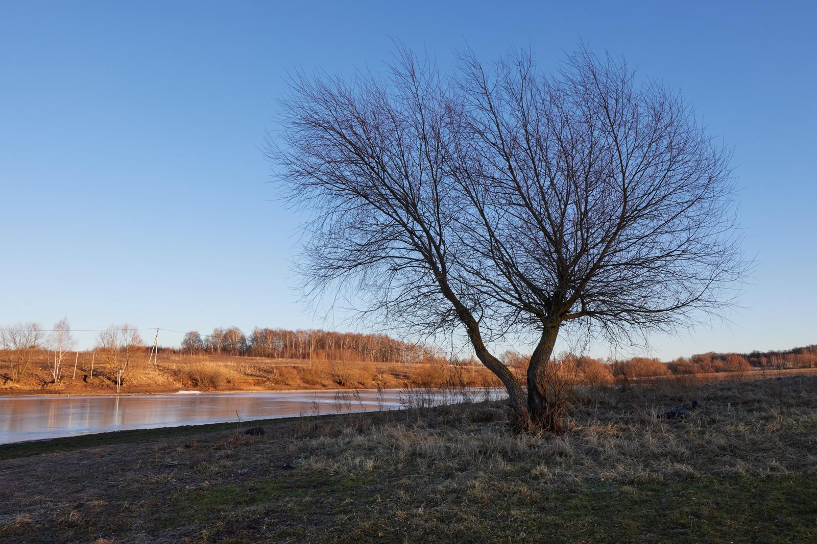 Раздвоенное единство
