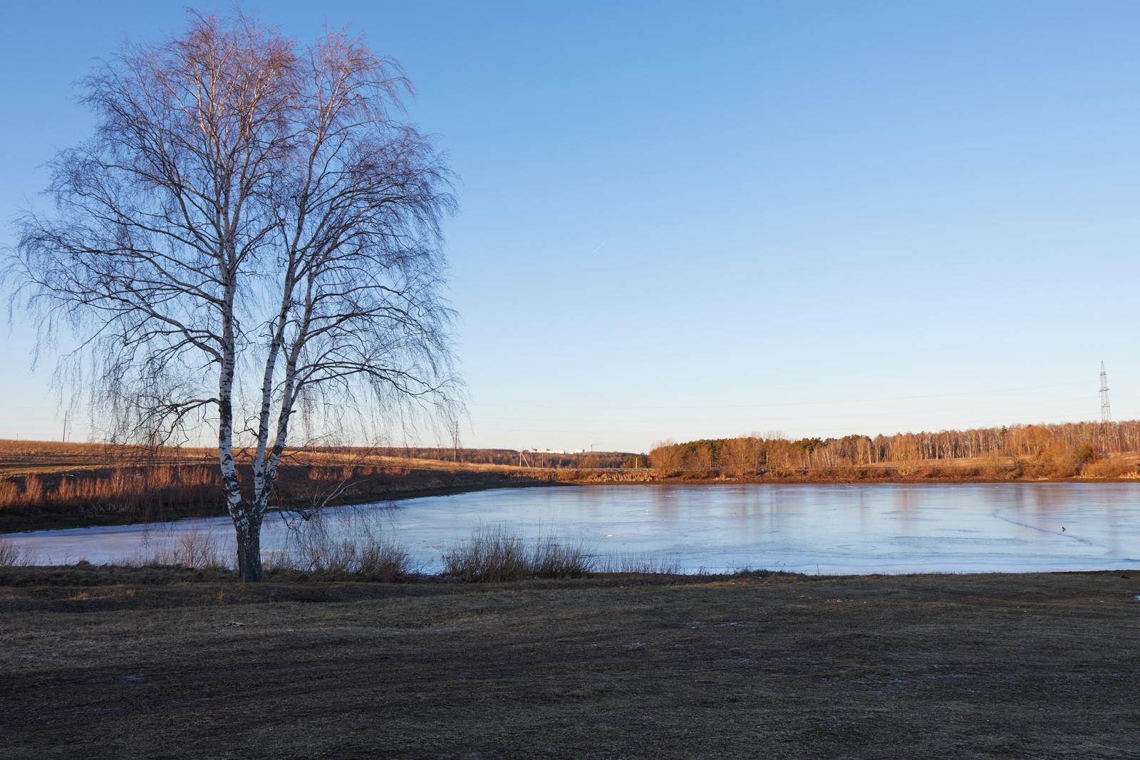 Берёзовый маяк