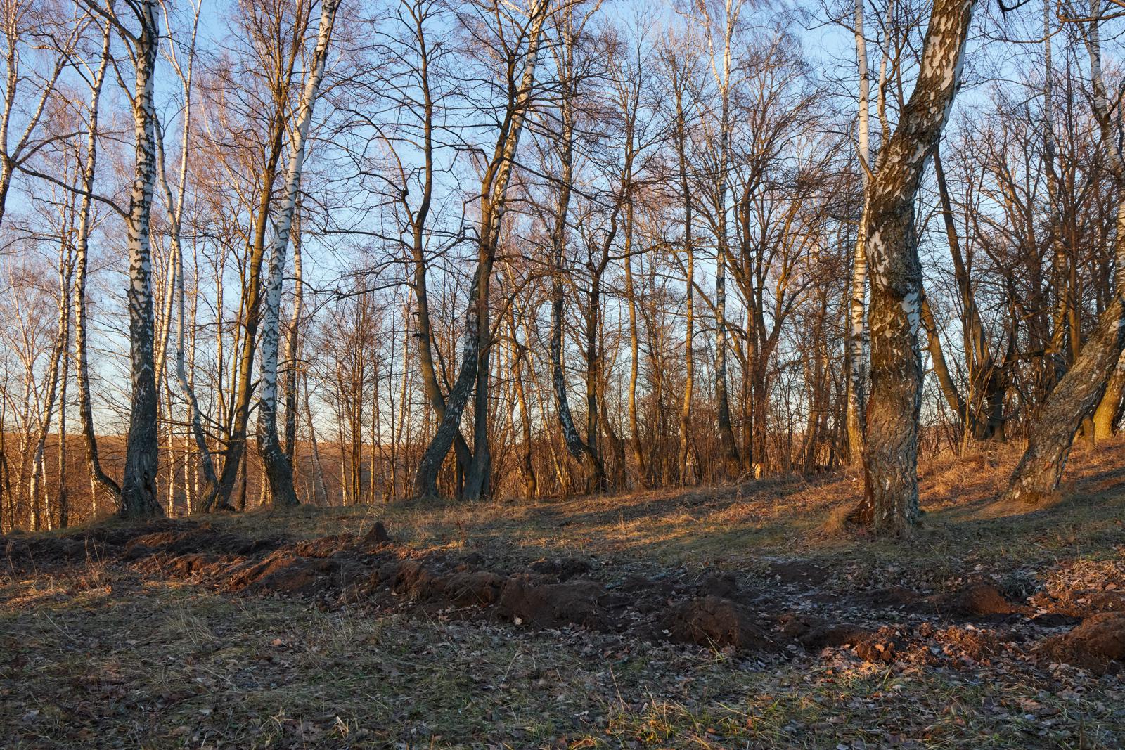 Рукопись холма