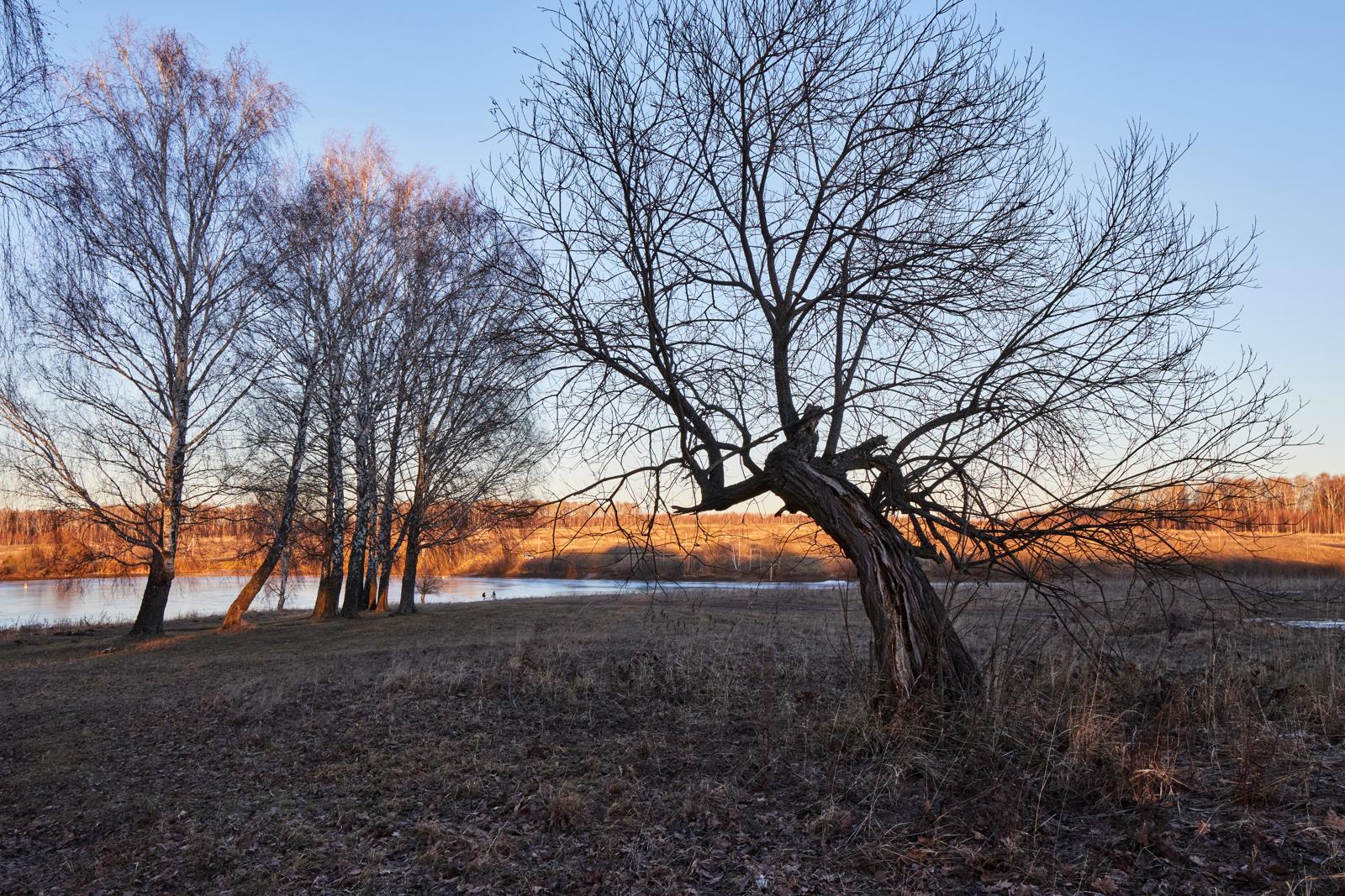 Танец несогласных