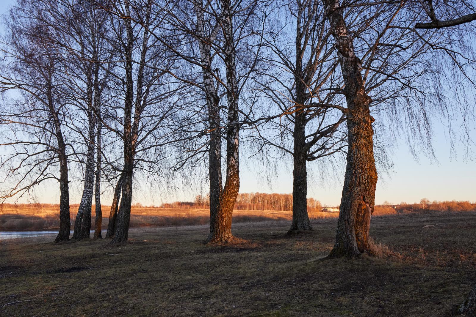 Часовые заката